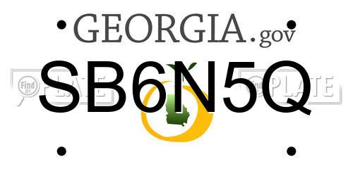 SB6N5Q Georgia License Plate