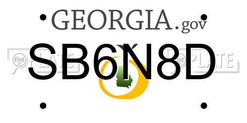 SB6N8D Georgia License Plate