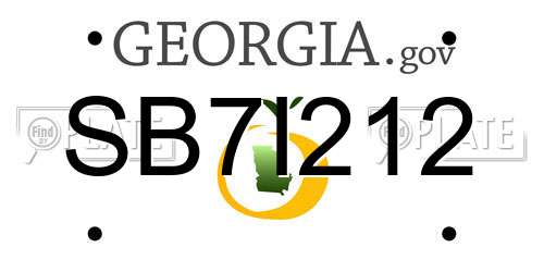 SB7I212 Georgia License Plate