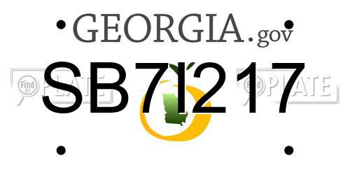 SB7I217 Georgia License Plate