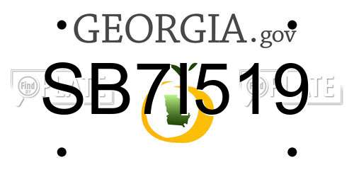 SB7I519 Georgia License Plate