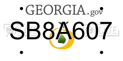 SB8A607 Georgia License Plate