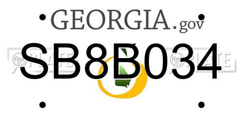 SB8B034 Georgia License Plate