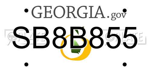 SB8B855 Georgia License Plate