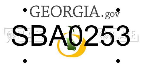 SBA0253 Georgia License Plate