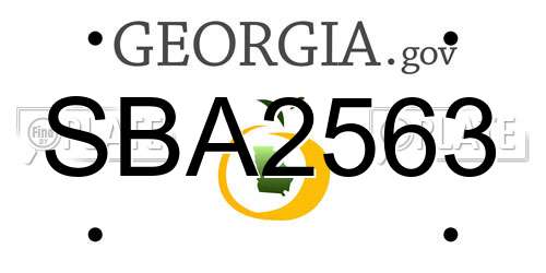 SBA2563 Georgia License Plate