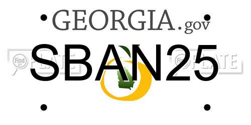 SBAN25 Georgia License Plate