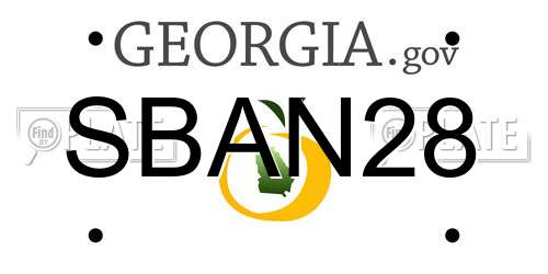 SBAN28 Georgia License Plate