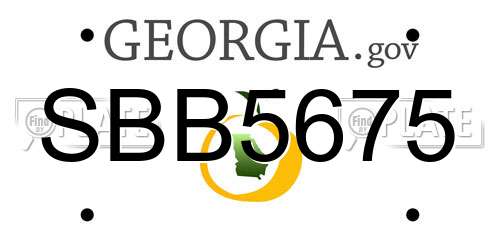 SBB5675 Georgia License Plate