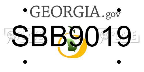 SBB9019 Georgia License Plate