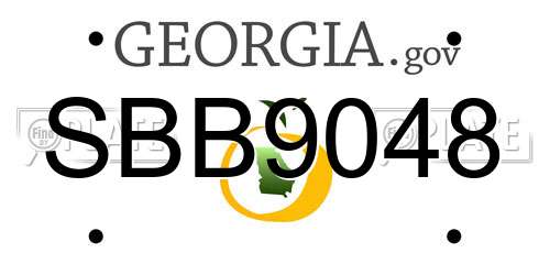 SBB9048 Georgia License Plate