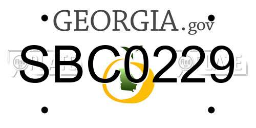 SBC0229 Georgia License Plate