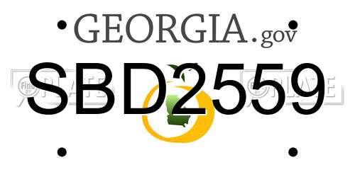 SBD2559 Georgia License Plate