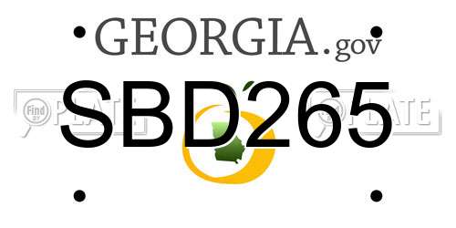 SBD265 Georgia License Plate
