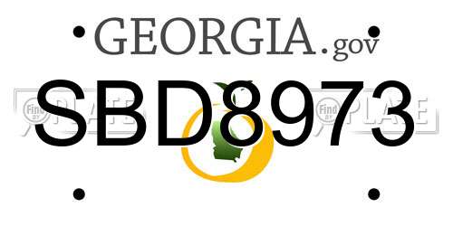 SBD8973 Georgia License Plate