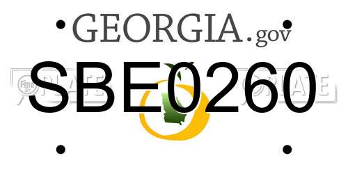 SBE0260 Georgia License Plate