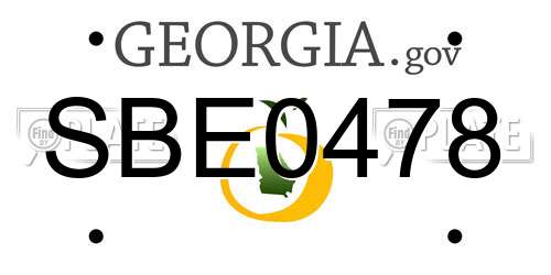 SBE0478 Georgia License Plate