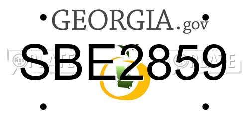 SBE2859 Georgia License Plate