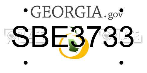 SBE3733 Georgia License Plate