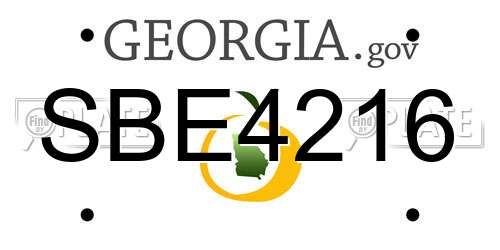 SBE4216 Georgia License Plate