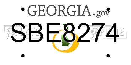 SBE8274 Georgia License Plate