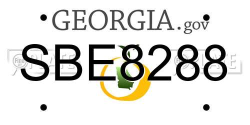 SBE8288 Georgia License Plate