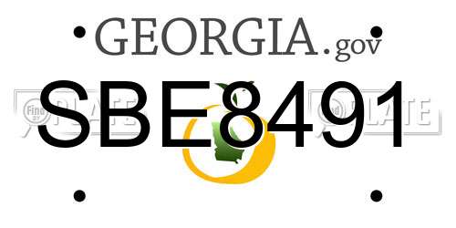 SBE8491 Georgia License Plate