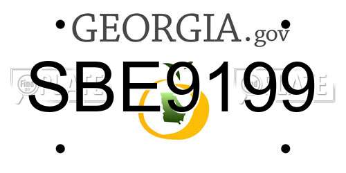 SBE9199 Georgia License Plate