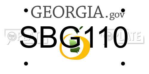 SBG110 Georgia License Plate