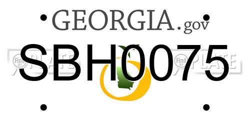 SBH0075 Georgia License Plate