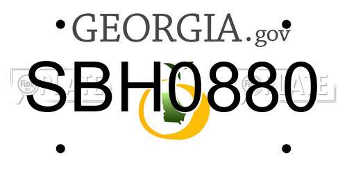 SBH0880 Georgia License Plate