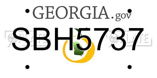 SBH5737 Georgia License Plate