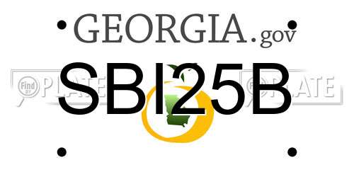 SBI25B Georgia License Plate