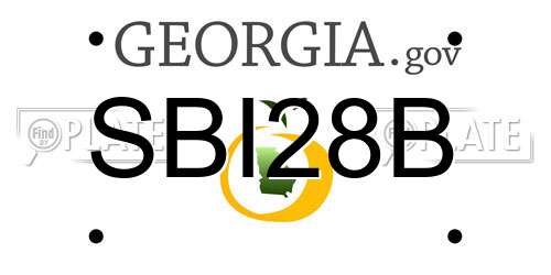 SBI28B Georgia License Plate