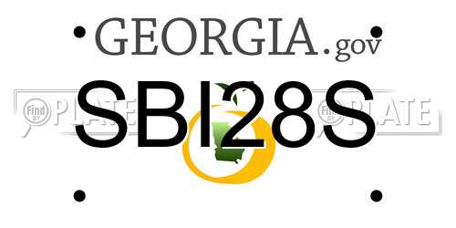 SBI28S Georgia License Plate