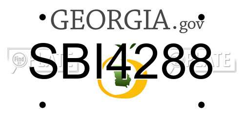 SBI4288 Georgia License Plate