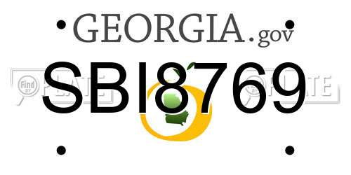 SBI8769 Georgia License Plate
