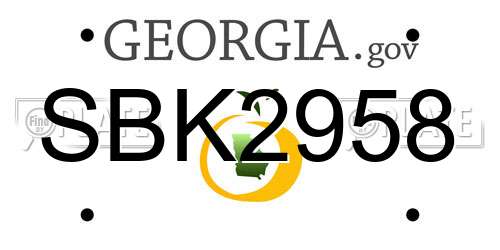 SBK2958 Georgia License Plate