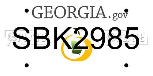 SBK2985 Georgia License Plate