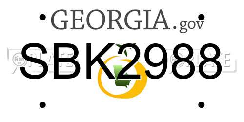SBK2988 Georgia License Plate