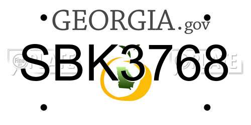 SBK3768 Georgia License Plate