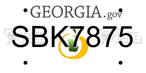 SBK7875 Georgia License Plate