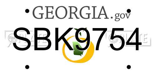 SBK9754 Georgia License Plate
