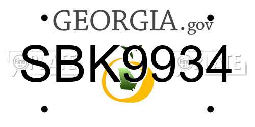 SBK9934 Georgia License Plate