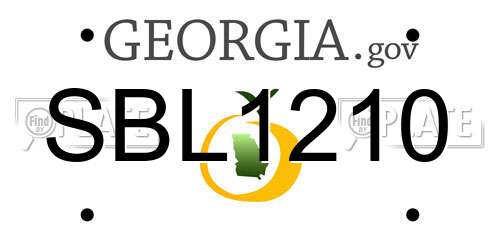 SBL1210 Georgia License Plate