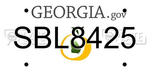 SBL8425 Georgia License Plate