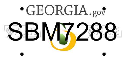 SBM7288 Georgia License Plate