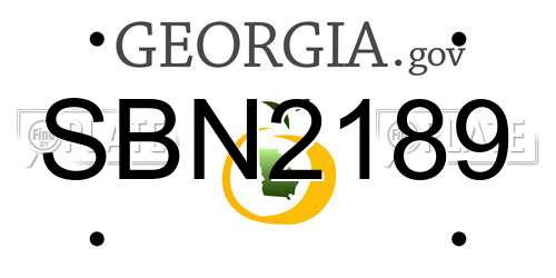 SBN2189 Georgia License Plate