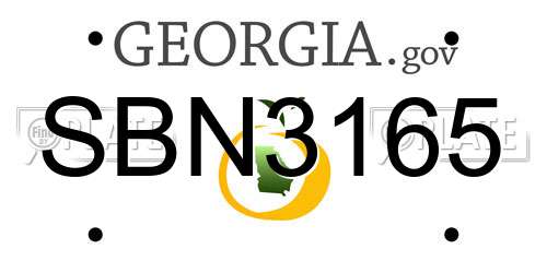 SBN3165 Georgia License Plate