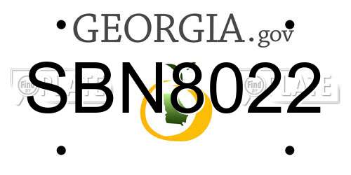 SBN8022 Georgia License Plate